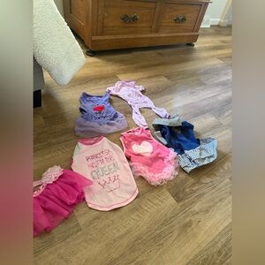 Pink Dog Dresses and Outfits